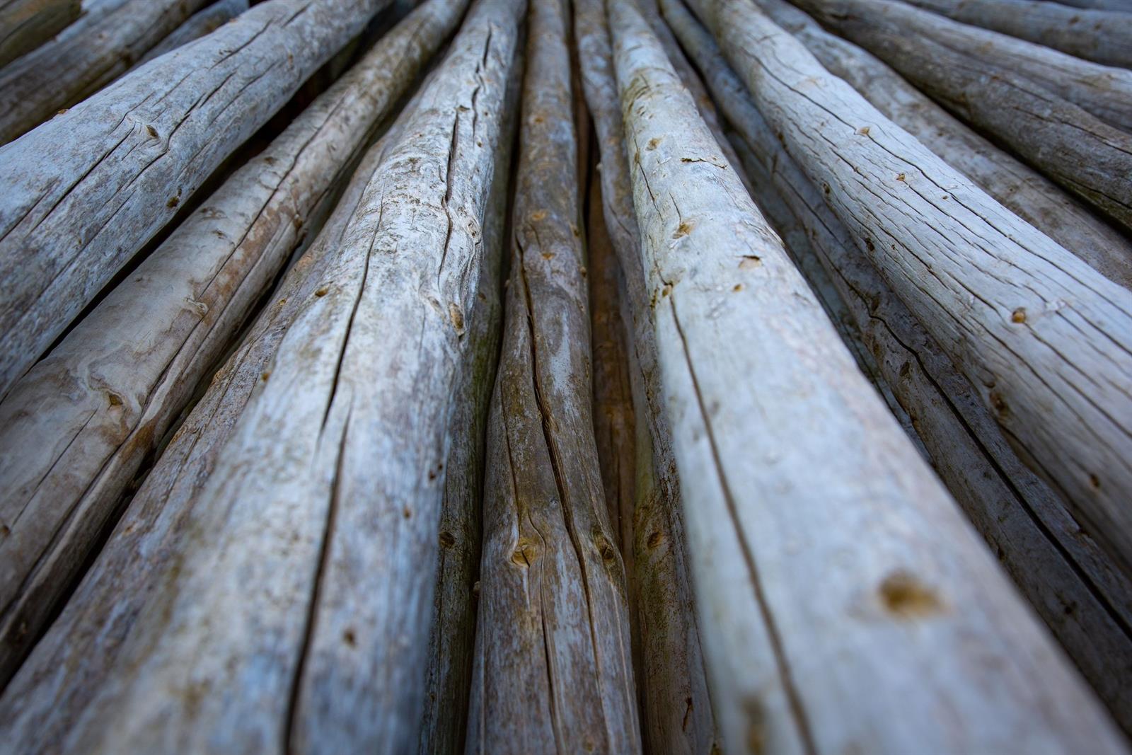 Holzhandwerk der Zimmerei Brischle für Kehl